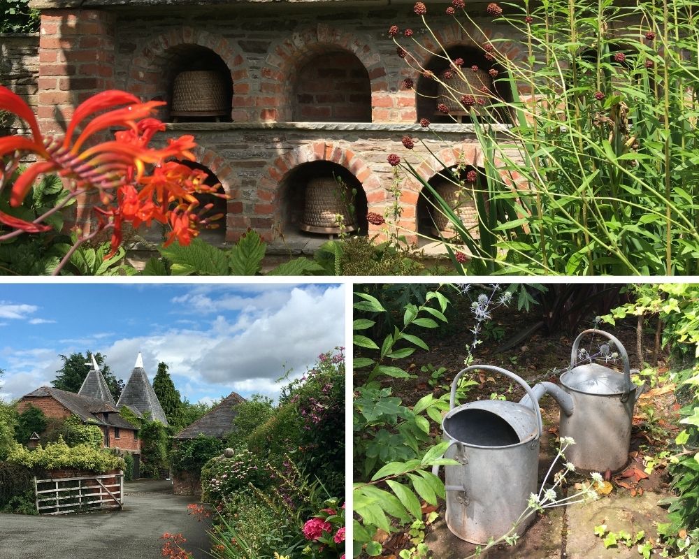 A montage of pictures from Stockton Bury gardens, showing plants and buildings and two watering cans