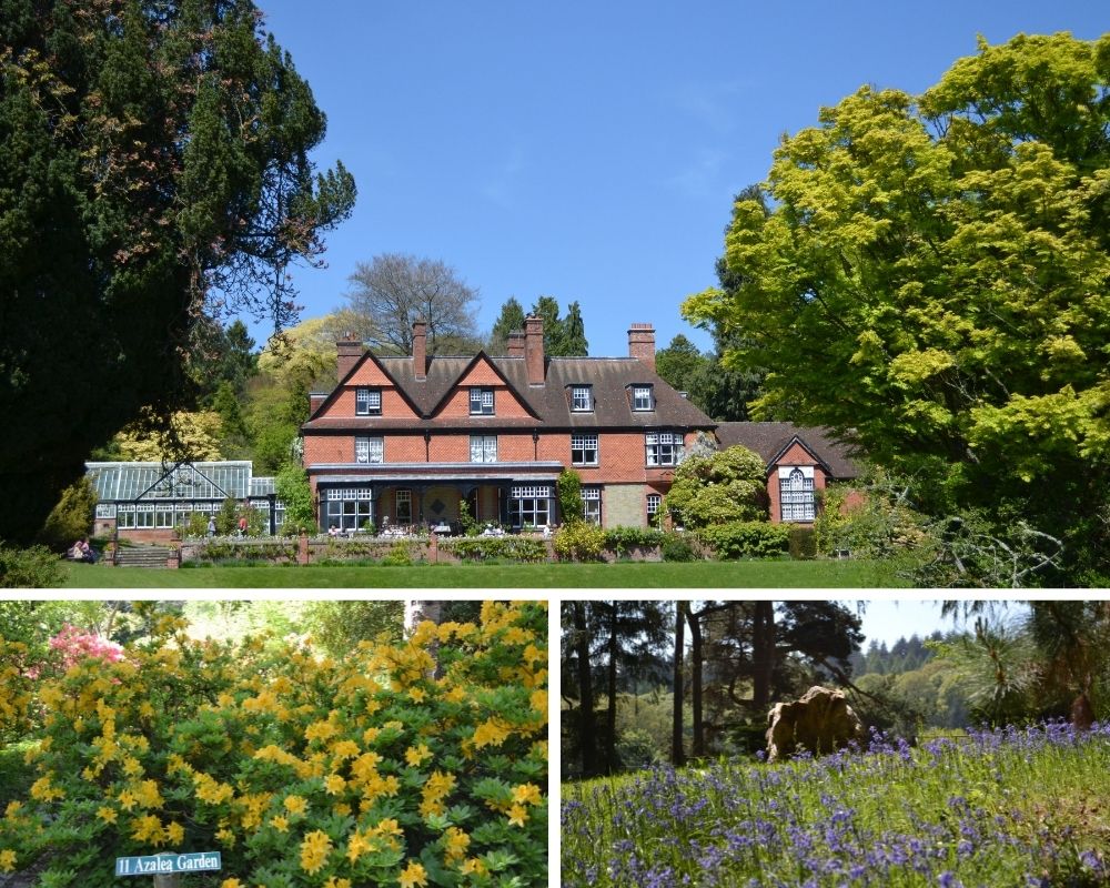 A montage og photos from Hergest Croft Gardens, showing colourful azalea bushes, blubells in a meadow and a house.