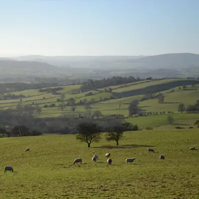 Wrapping Up for a Winter Walk