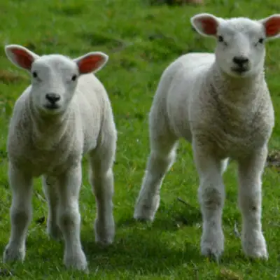5 Reasons to Love February