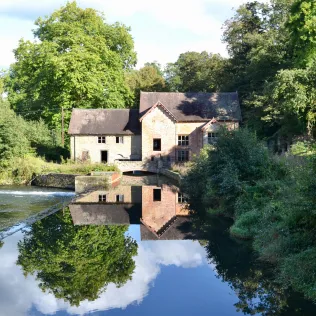 Nature meets History on a Walk through Oakly Park to Ludlow
