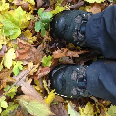 Four Walks for Autumn Colour