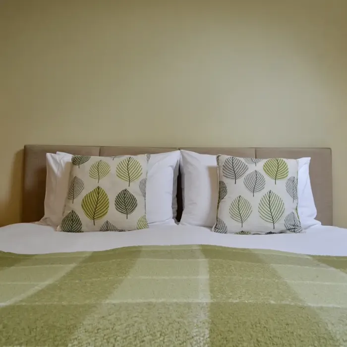 The Brineddin Suite